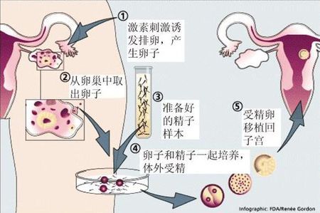 实验室 Fig.02
